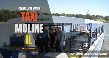 Exploring Moline, IL by Water: Uncover the Beauty of Channel Cat Water Taxi