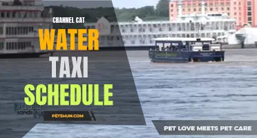 The Convenient Channel Cat Water Taxi Schedule for Smooth Travel on the Waterways