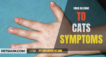Recognizing the Symptoms: Is Your Child Allergic to Cats?