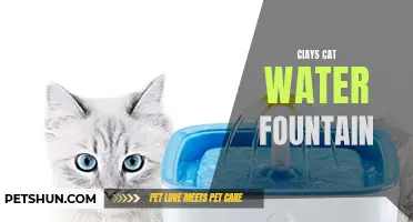 Why Your Cat Needs a Ciay's Cat Water Fountain