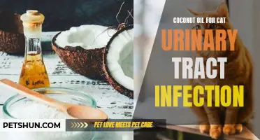 The Benefits of Using Coconut Oil for Cat Urinary Tract Infections