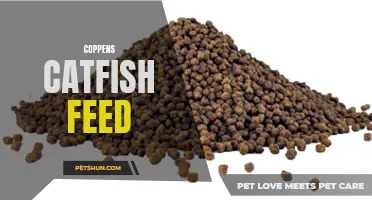 The Benefits of Coppens Catfish Feed for Optimal Growth and Health
