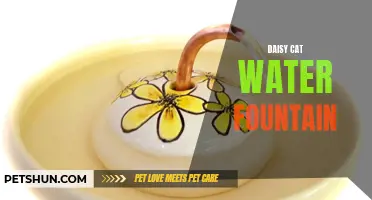 The Alluring Benefits of a Daisy Cat Water Fountain
