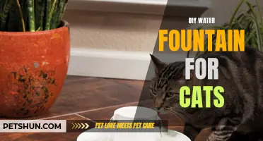 Create a Beautiful DIY Water Fountain for Cats at Home
