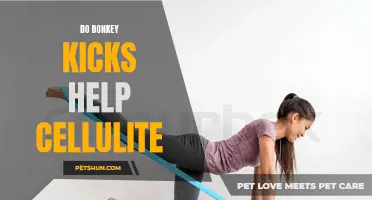 The Truth About Donkey Kicks and Their Role in Reducing Cellulite