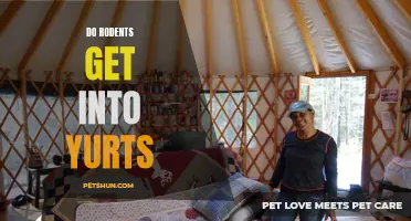 Preventing Rodents from Entering Yurts: Essential Tips for a Critter-Free Living Space