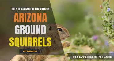 Does Decon Mice Killer effectively control Arizona ground squirrels?