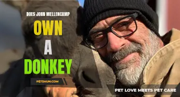 Unveiling the Truth: John Mellencamp's Surprise Donkey Ownership