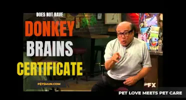 Why a Lack of a 'Donkey Brains' Certificate Might Be a Good Thing