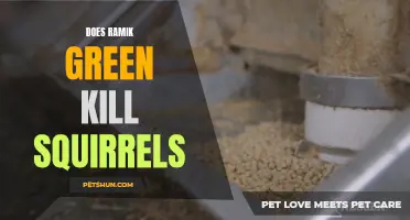 Exploring the Effectiveness of Ramik Green in Controlling Squirrel Infestations