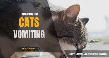 How Famotidine Can Help Relieve Vomiting in Cats