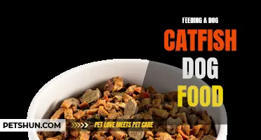 Feeding Your Dog Catfish-Infused Dog Food: Benefits and Considerations