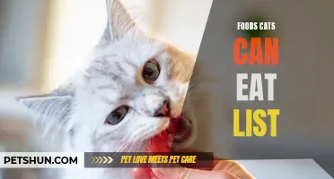 10 Safe and Healthy Foods for Your Feline Friend: A Comprehensive List