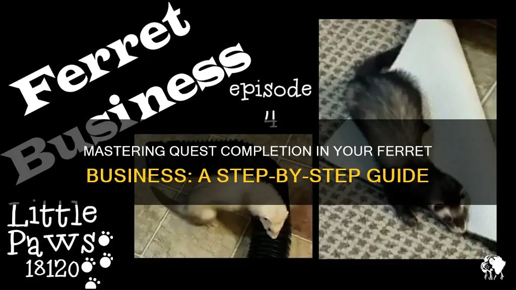 how do I show quests complete in ferret business
