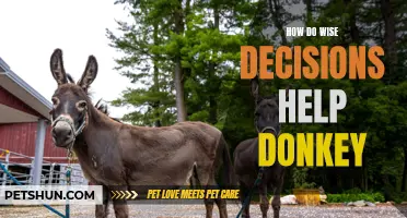 The Importance of Wise Decisions for Donkeys
