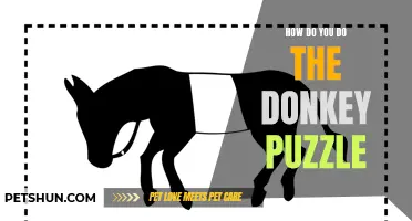 How to Successfully Complete the Donkey Puzzle