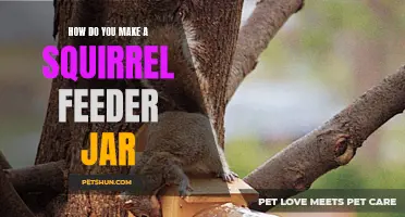 Creating a Homemade Squirrel Feeder Jar for Your Backyard Wildlife