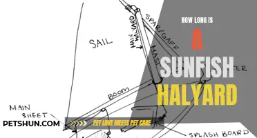 Understanding the Length of a Sunfish Halyard: A Guide for Sailors