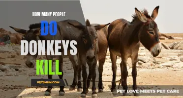 The Surprising Fatalities Caused by Donkeys: A Look into Their Unspoken Danger