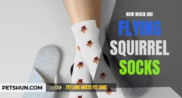 How to Find the Perfect Pair of Flying Squirrel Socks and Their Price