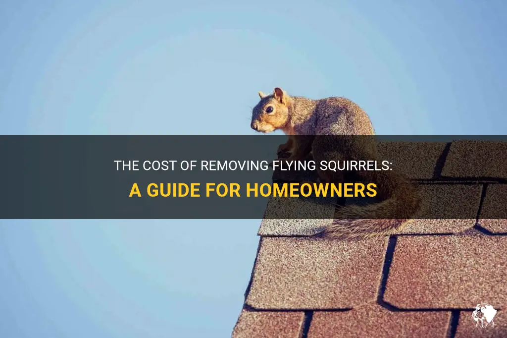 how much does it cost to remove flying squirrels
