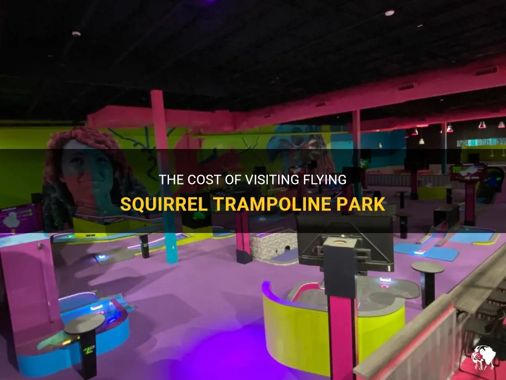 how much is flying squirrel trampoline park