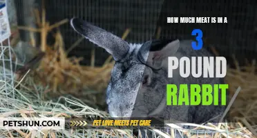 The Amount of Meat Found in a 3 Pound Rabbit