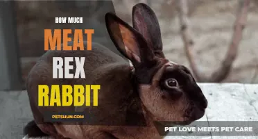 How to Determine the Right Amount of Meat from a Rex Rabbit