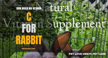 The Importance of Adequate Vitamin C Dosage for Rabbits
