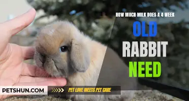 The Milk Requirements of a 4-Week-Old Rabbit