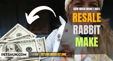 Maximizing Profits: Unveiling the Earnings of Resale Rabbit