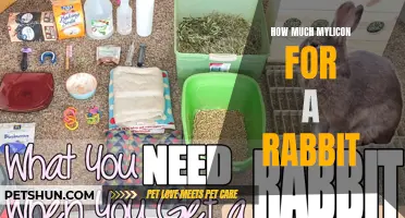 The Right Amount of Mylicon for a Rabbit: A Guide for Rabbit Owners