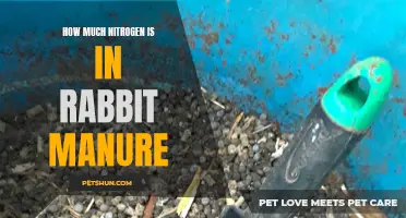 The Importance of Nitrogen Content in Rabbit Manure: What You Need to Know
