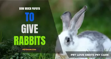 The Optimal Serving Size of Papaya for Rabbits