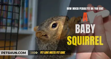 Giving Pedialyte to a Baby Squirrel: A Guide to Proper Dosage