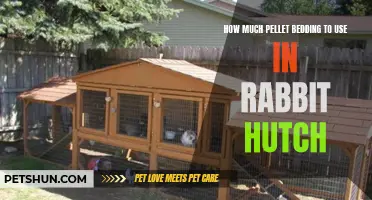 The Perfect Amount of Pellet Bedding for Your Rabbit Hutch
