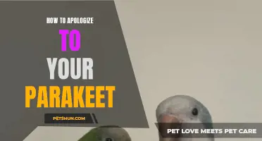 The Art of Apologizing to Your Parakeet: Tips and Techniques