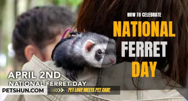 Celebrate National Ferret Day with These Fun and Furry Activities