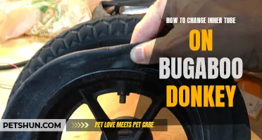 Easy Steps to Change the Inner Tube on Your Bugaboo Donkey