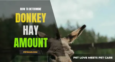 The Essential Guide to Determining Donkey Hay Amount for Optimal Nutrition