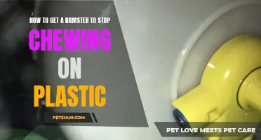 Tips for Preventing Hamsters from Chewing on Plastic