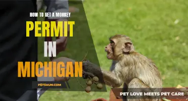 Unlocking the Guide to Obtaining a Monkey Permit in Michigan