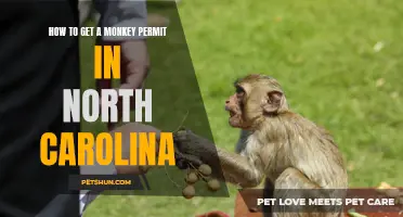 Step-by-Step Guide to Obtaining a Monkey Permit in North Carolina