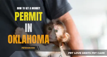 The Ultimate Guide to Getting a Monkey Permit in Oklahoma