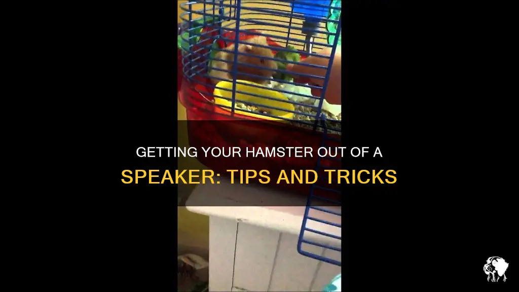 how to get hamster out of speaker