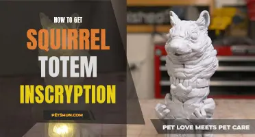 Unlock the Secrets of the Squirrel Totem: How to Obtain the Desired Inscription