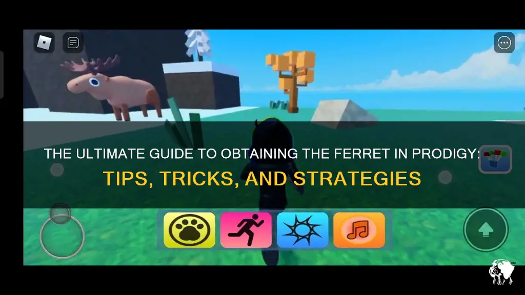 how to get the ferret in prodigy