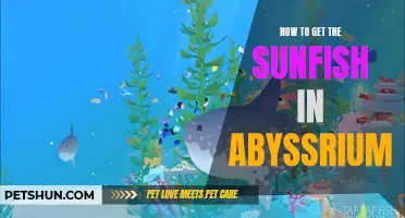 Mastering the Techniques to Obtain the Enigmatic Sunfish in Abyssrium