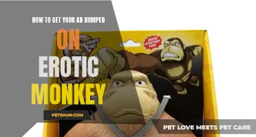 Unlocking Success: The Secret to Getting Your Ad Bumped on Erotic Monkey