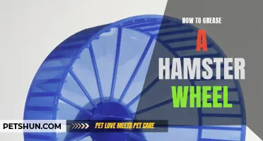 The Ultimate Guide to Greasing a Hamster Wheel for Optimal Performance